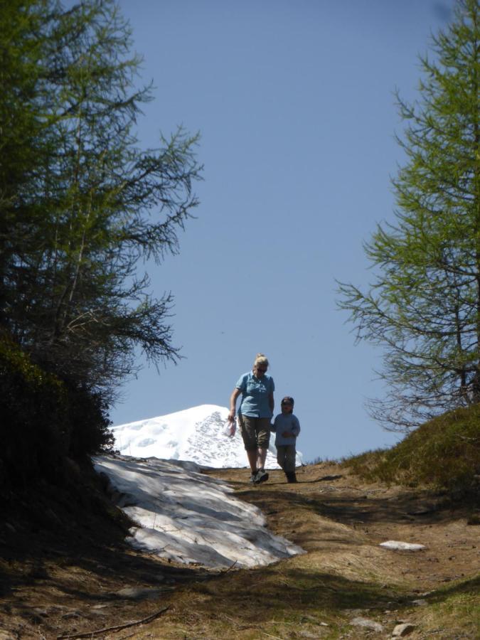 Chalet Birkhahn Saas-Fee Zewnętrze zdjęcie