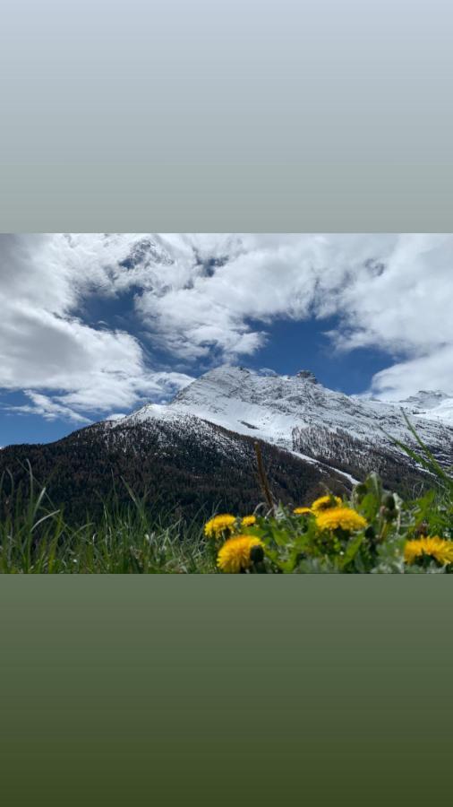 Chalet Birkhahn Saas-Fee Zewnętrze zdjęcie
