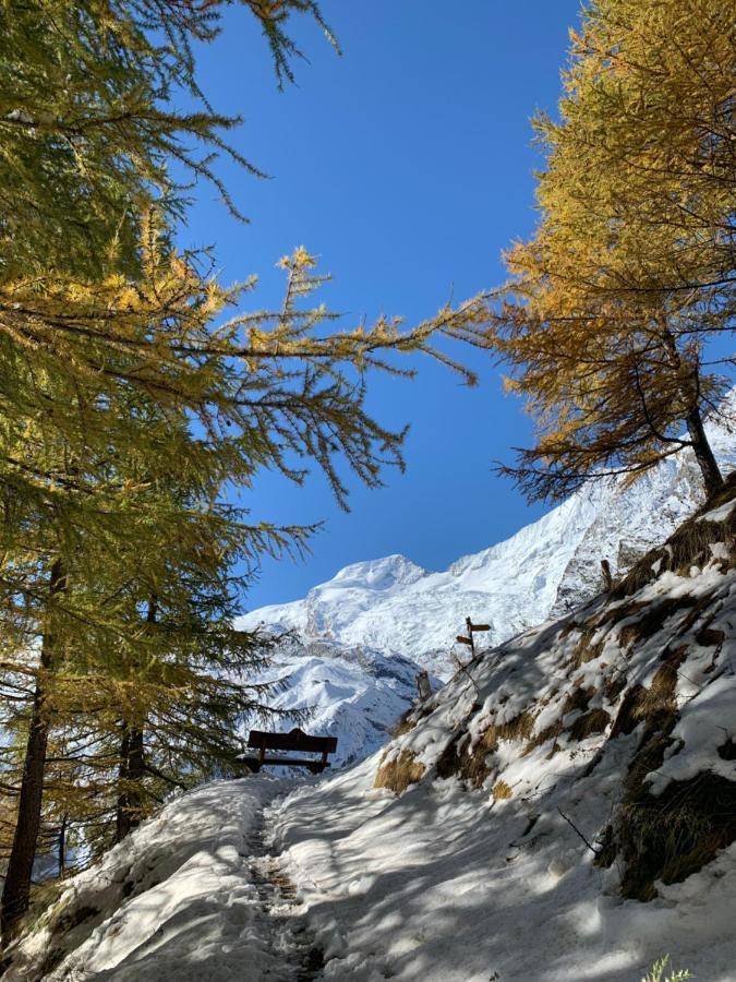 Chalet Birkhahn Saas-Fee Zewnętrze zdjęcie