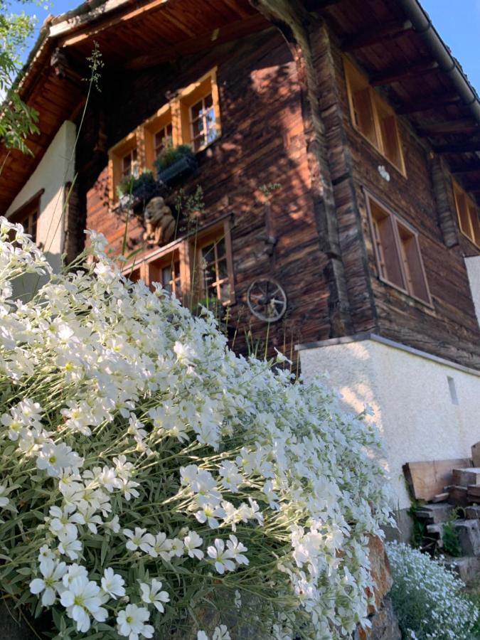 Chalet Birkhahn Saas-Fee Zewnętrze zdjęcie