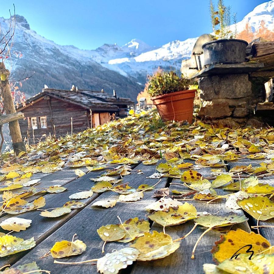 Chalet Birkhahn Saas-Fee Zewnętrze zdjęcie